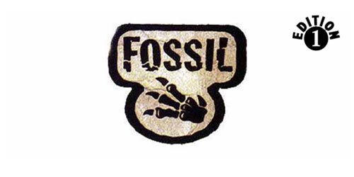 Fossil (1st Edition) Image