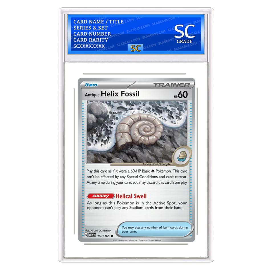 Antique Helix Fossil