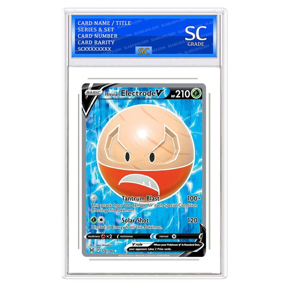 Hisuian Electrode V