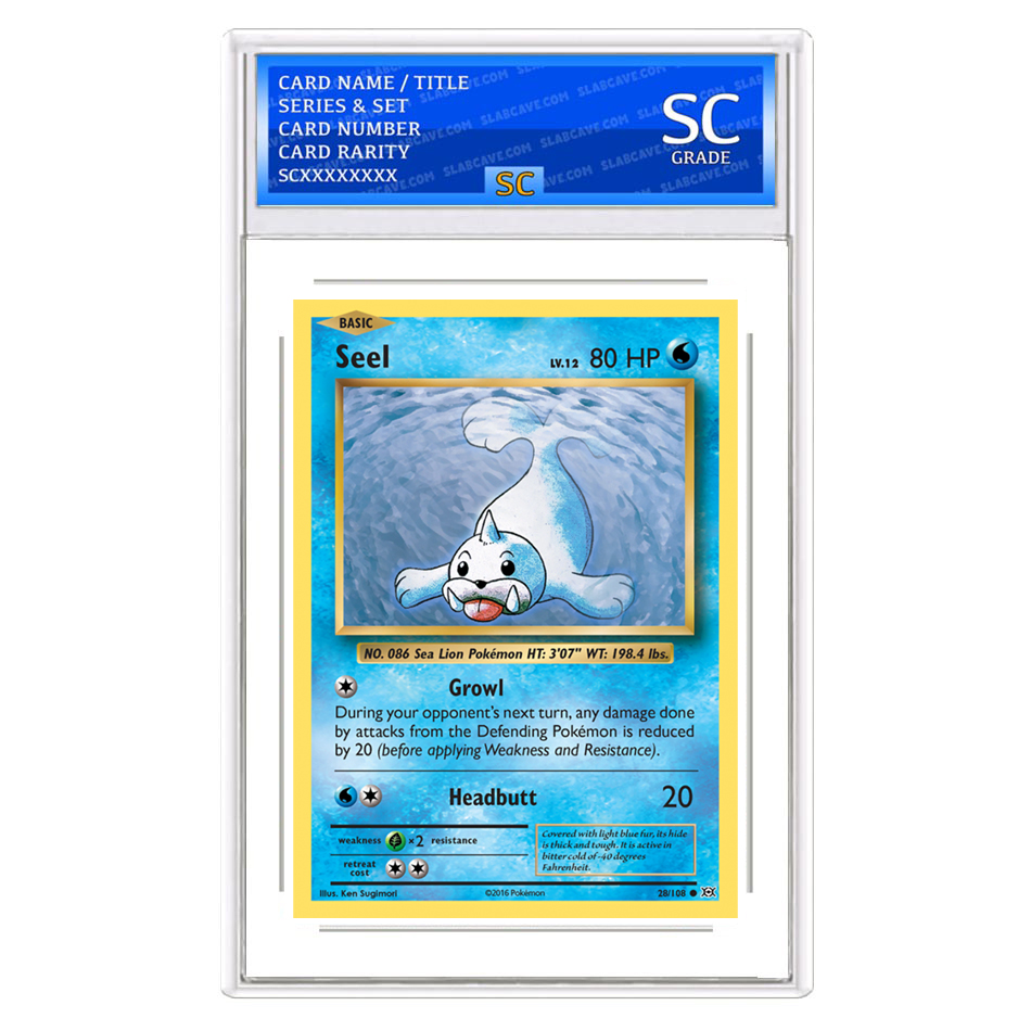 Seel