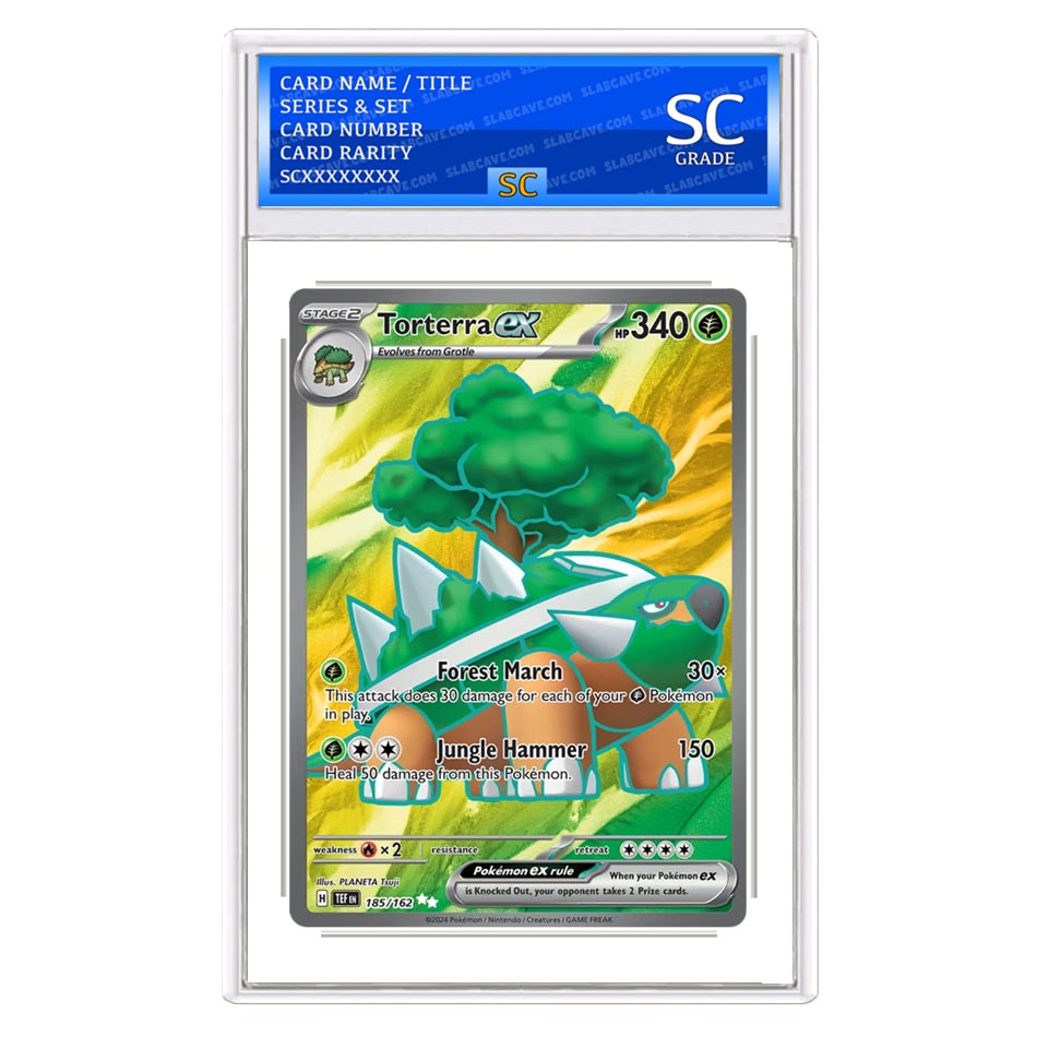 Torterra ex