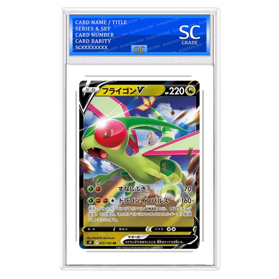 Flygon V