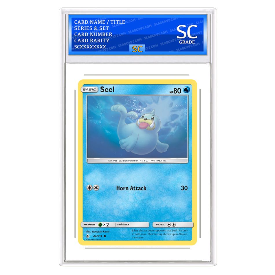 Seel