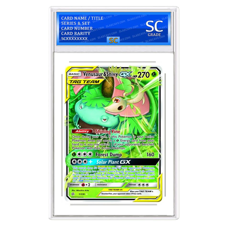 Venusaur&Snivy GX