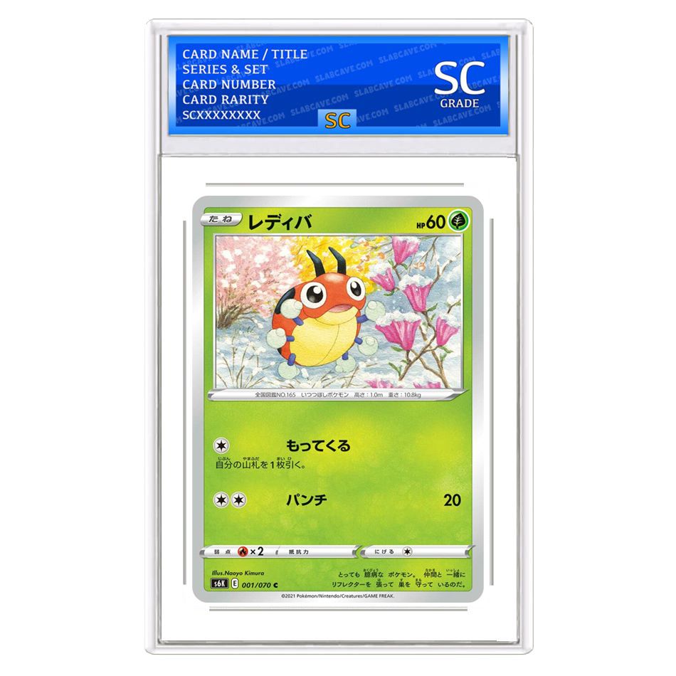 Ledyba