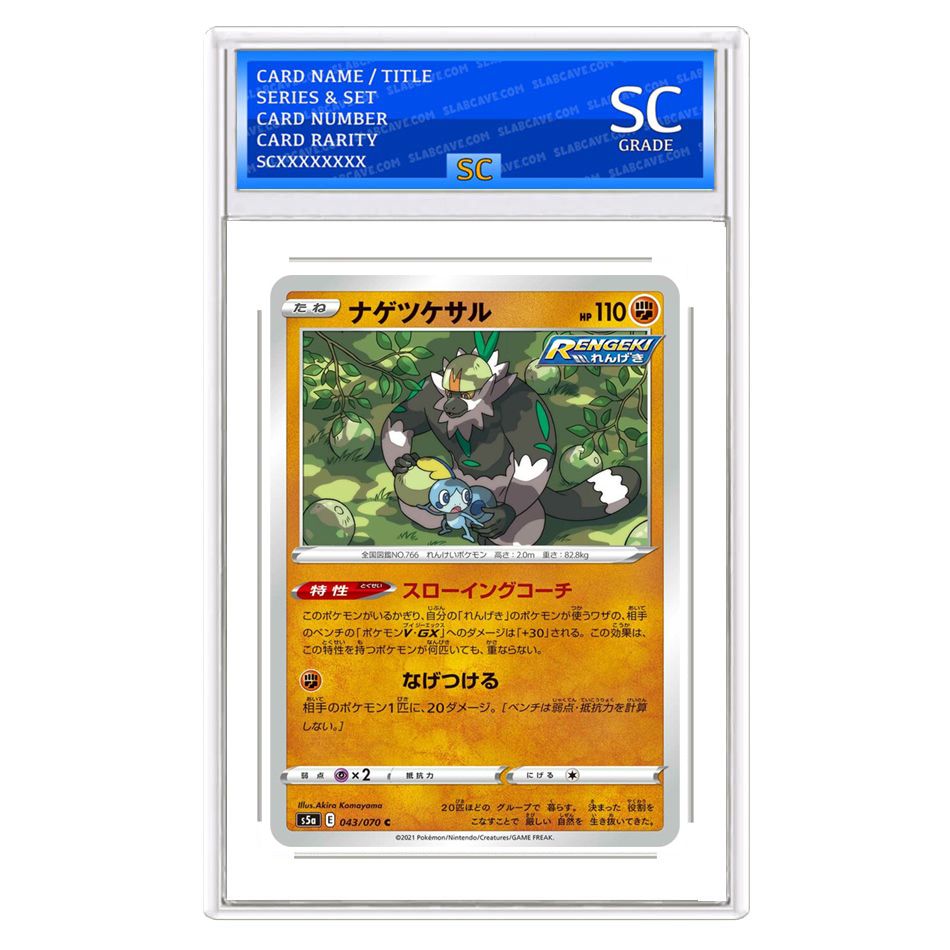 Passimian