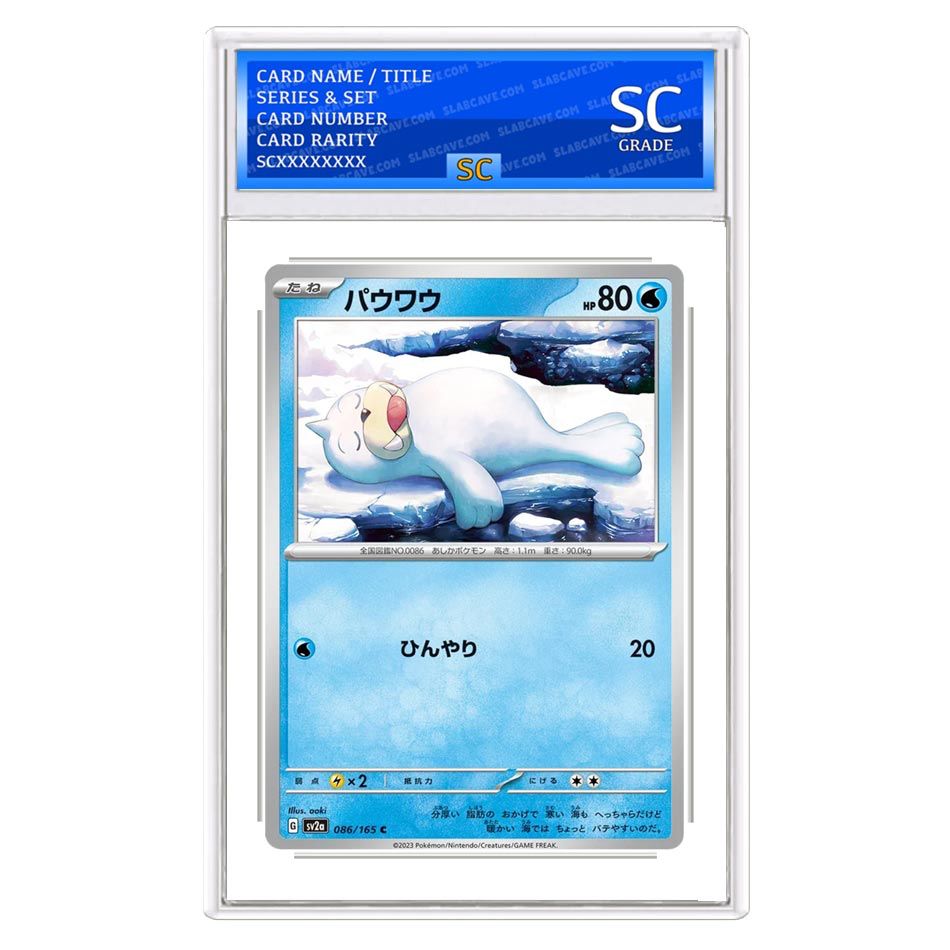 Seel