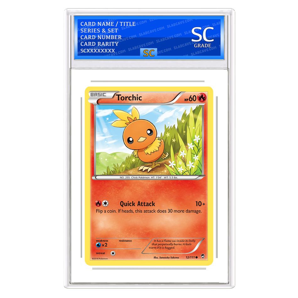 Torchic