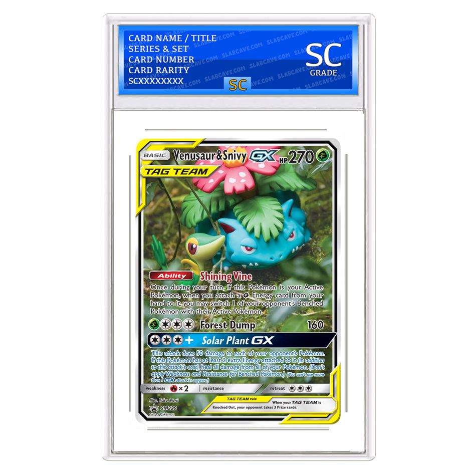 Venusaur & Snivy GX