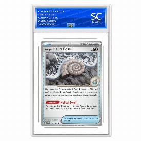 Image of Antique Helix Fossil 