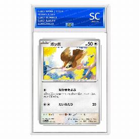 Image of Pidgey