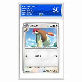 Image of Pidgeotto (Rev)