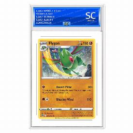 Image of Flygon