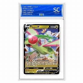 Image of Flygon V