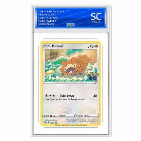 Image of Bidoof (Rev)