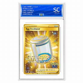 Egg Incubator