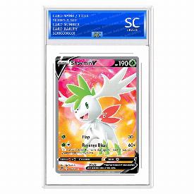 Image of Shaymin V