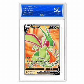 Flygon V