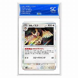 Image of Noctowl