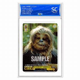 Image of Chewbacca