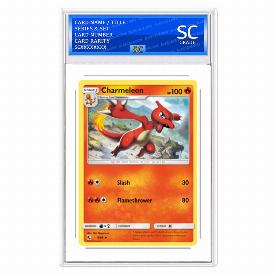 Image of Charmeleon