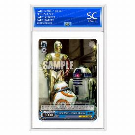 Image of C-3PO & BB‐8 & R2‐D2