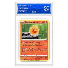 Image of Castform Sunny Form