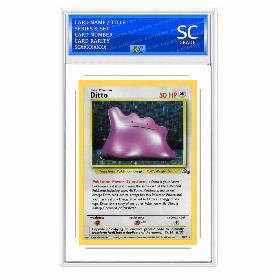 Image of Ditto