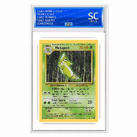 Image of Metapod