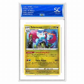 Image of Salamence