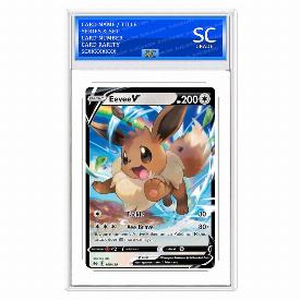 Image of Eevee V