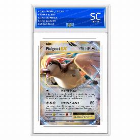 Pidgeot EX