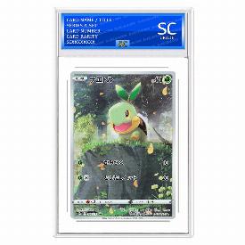 Image of Turtwig