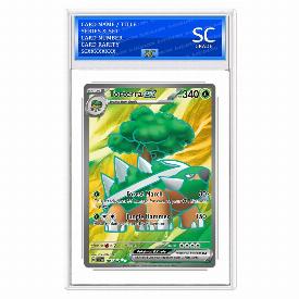 Image of Torterra ex