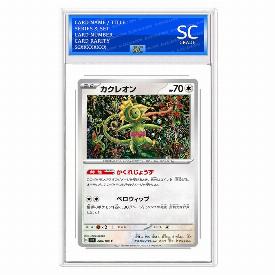 Image of Kecleon