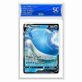 Wailord V