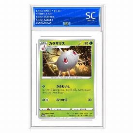 Silcoon