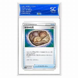 Mysterious Fossil