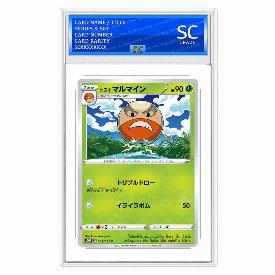 Hisuian Electrode