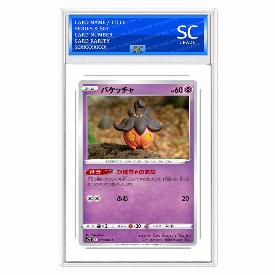 Pumpkaboo