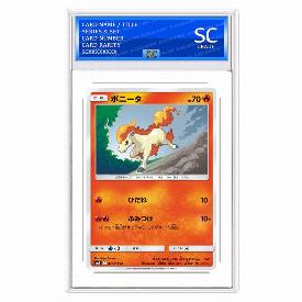 Ponyta
