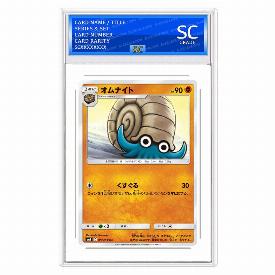 Omanyte