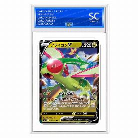 Flygon V