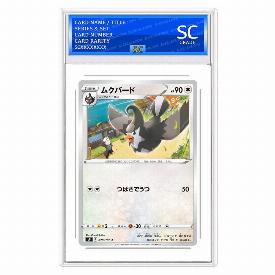 Staravia