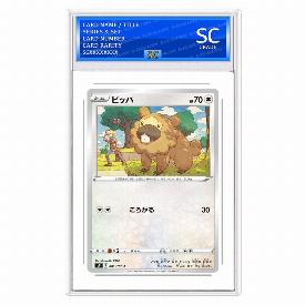 Bidoof