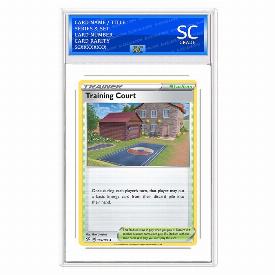 Training Court