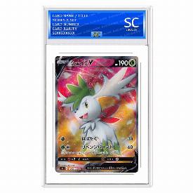 Shaymin V
