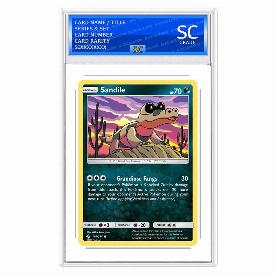 Sandile (Rev)