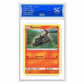 Salandit (Rev)