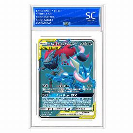 Greninja&Zoroark GX